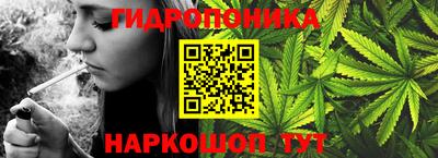 индика Краснодар