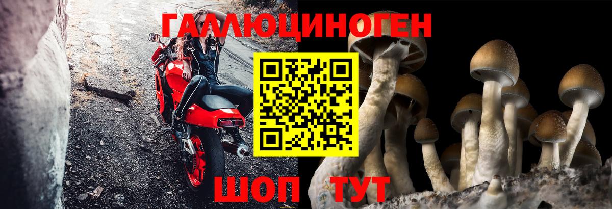Псилоцибиновые грибы MAGIC MUSHROOMS Кизилюрт
